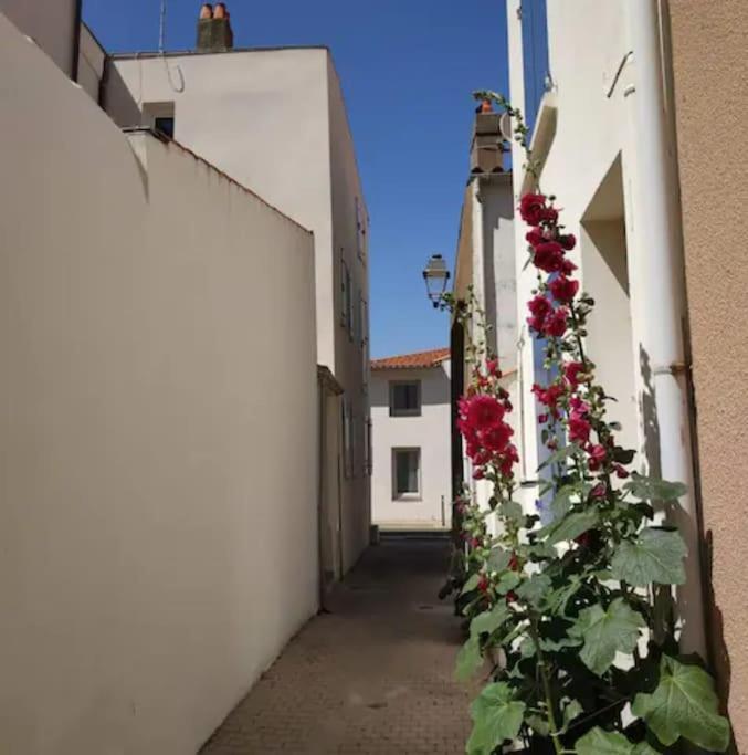 Tiny Studio Terrasse, Hypercentre La Plage A 2 Pas ! 莱萨布勒-多洛讷 外观 照片